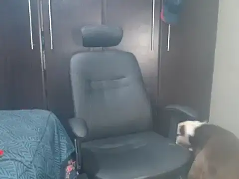 blzed420 online show from 15, 2, 2025