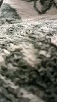 Snapshot of sokrates13 chatting on 11, 1, 2025 sokrates13 online show from 11, 1, 2025