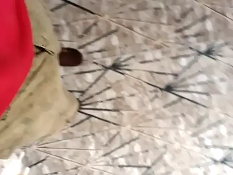 Snapshot of sokrates13 chatting on 21, 1, 2025 sokrates13 online show from 21, 1, 2025