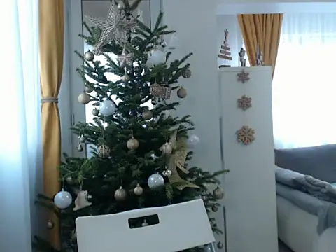 Snapshot of GoldenMark chatting on 20, 12, 2024 GoldenMark online show from 20, 12, 2024