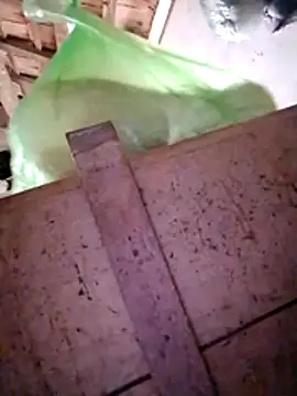 Snapshot of Hotpussy3ox chatting on 20, 12, 2025 Hotpussy3ox online show from 20, 12, 2025