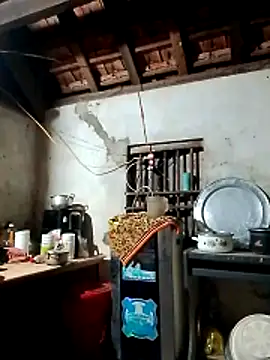 Snapshot of Hotpussy3ox chatting on 2, 3, 2026 Hotpussy3ox online show from 2, 3, 2026