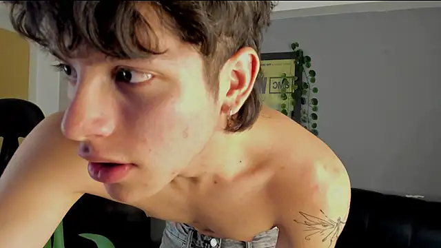 bravoboreal online show from 12, 12, 2024