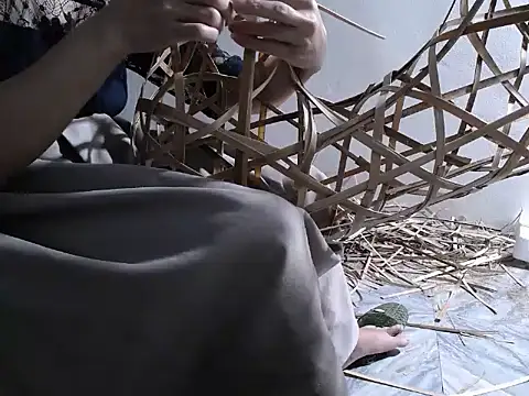 nolame18xxx online show from 14, 11, 2025