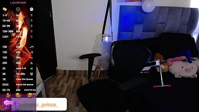 Snapshot of DominicPrince chatting on 24, 11, 2025 DominicPrince online show from 24, 11, 2025