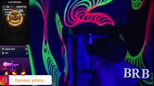 Snapshot of DominicPrince chatting on 13, 1, 2026 DominicPrince online show from 13, 1, 2026