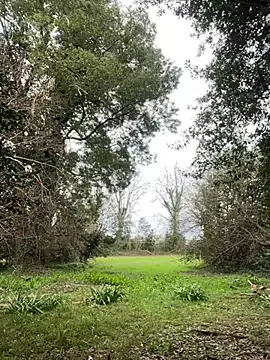 Snapshot of Alicia_Hot1 chatting on 10, 2, 2025 Alicia Hot1 online show from 10, 2, 2025