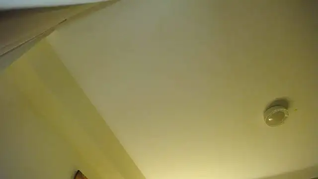 amydamarw online show from 24, 7, 2026