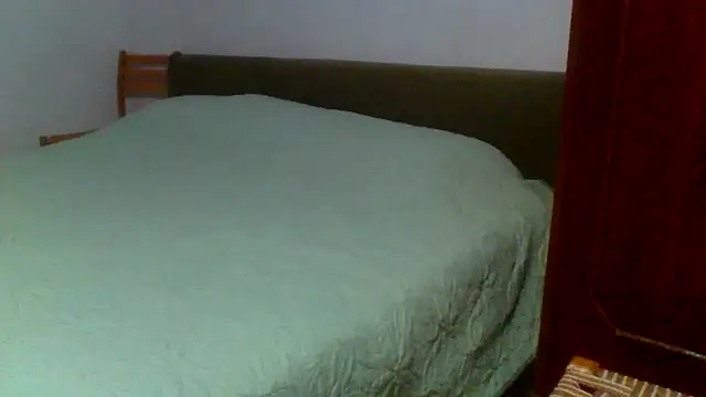 petan33 online show from 11, 9, 2025