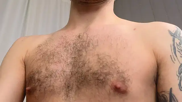 xteddy bear online show from 27, 2, 2025