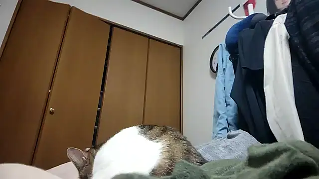 07YUKIO online show from 24, 4, 2026