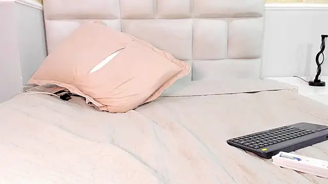 Snapshot of BruceNixon chatting on 11, 2, 2025 BruceNixon online show from 11, 2, 2025