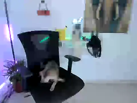 nairobbits online show from 9, 10, 2025