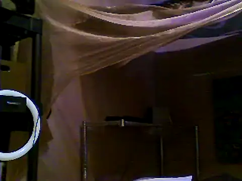 JdLove1 online show from 31, 12, 2024