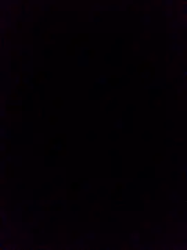 WrongedParvo online show from 19, 10, 2025