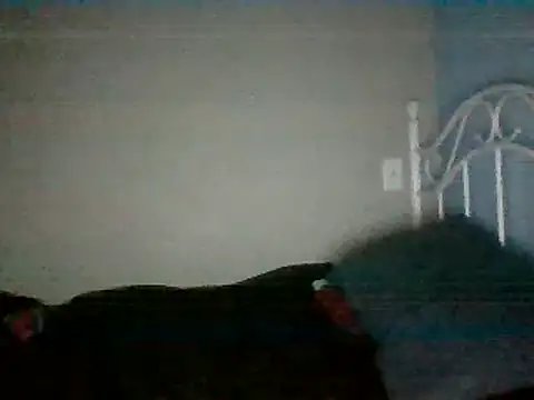 Snapshot of SmokingSloth chatting on 16, 3, 2025 SmokingSloth online show from 16, 3, 2025