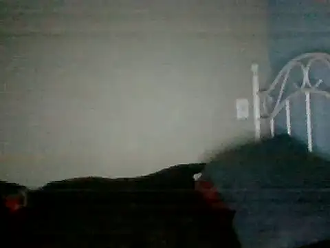 Snapshot of SmokingSloth chatting on 16, 3, 2025 SmokingSloth online show from 16, 3, 2025