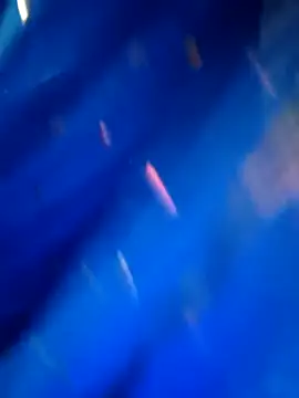 sneha rose online show from 8, 9, 2025