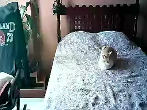 2mgars online show from 17, 1, 2026