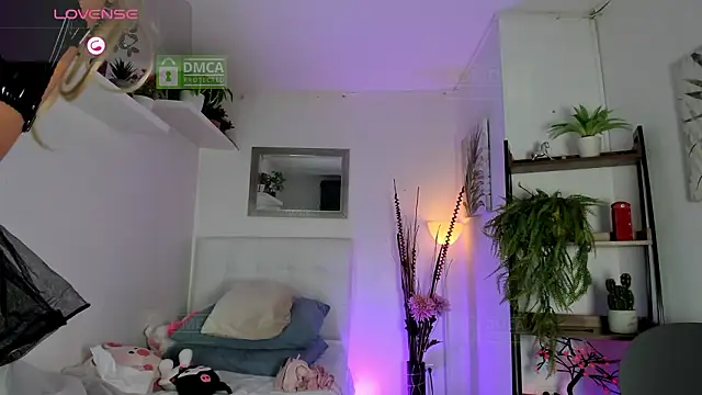 Palmer-Foster online show from 5, 3, 2026