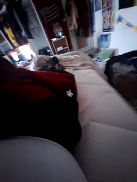 Snapshot of thefrenchhogan29 chatting on 13, 2, 2025 thefrenchhogan29 online show from 13, 2, 2025