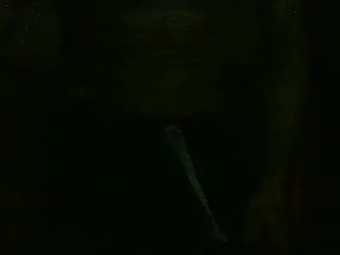 Snapshot of dangerman94 chatting on 22, 10, 2025 dangerman94 online show from 22, 10, 2025