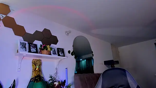 evy orange1 online show from 21, 3, 2026