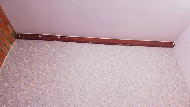 Snapshot of nicol_f chatting on 28, 12, 2024 nicol f online show from 28, 12, 2024