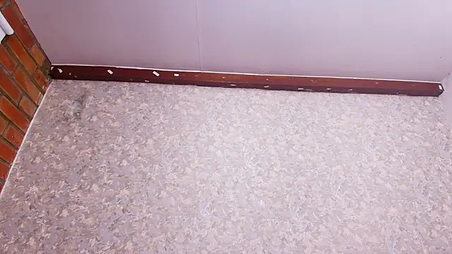 Snapshot of nicol_f chatting on 5, 2, 2025 nicol f online show from 5, 2, 2025