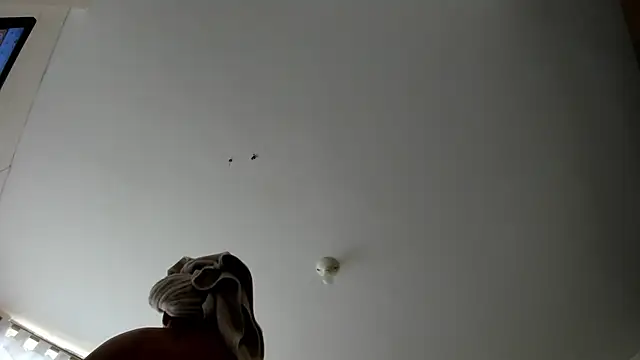 evely coelloo online show from 9, 9, 2025