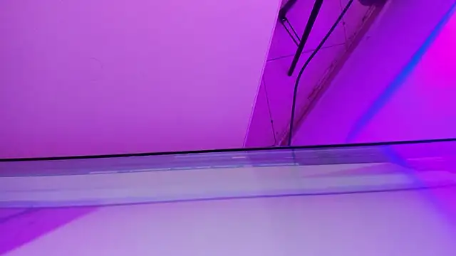 sarah  bigboobs online show from 21, 3, 2026