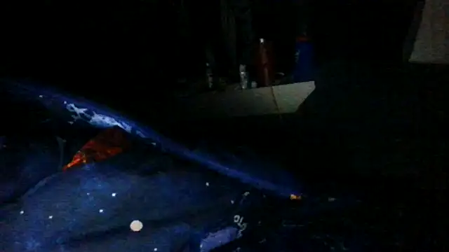 Snapshot of toast843 chatting on 9, 2, 2025 toast843 online show from 9, 2, 2025