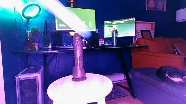 timsefs online show from 26, 10, 2025