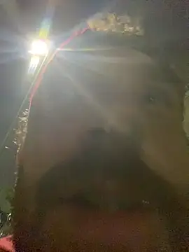 PocoLoco420 online show from 25, 6, 2026