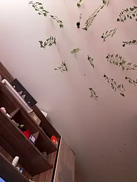 -Sexy Barbie- online show from 1, 3, 2025