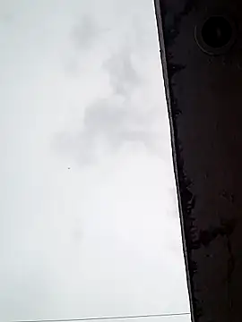 Professor Leo  online show from 16, 2, 2025