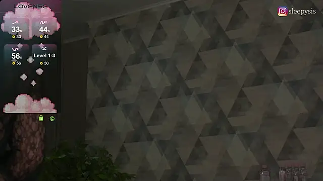 Sleepy SIS online show from 1, 3, 2026