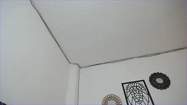 paytonbailey online show from 4, 3, 2025