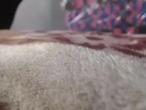 hoittytoittyxx online show from 3, 3, 2025