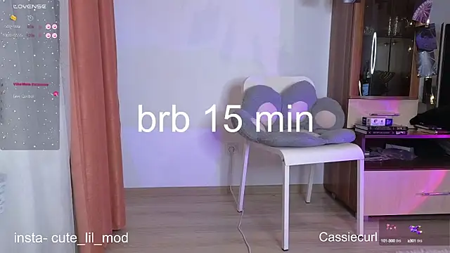 art phoenix online show from 28, 2, 2025