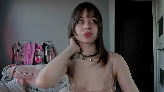 hype meal home online show from 29, 9, 2025