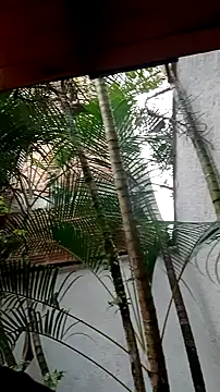 helen kinett online show from 27, 12, 2024