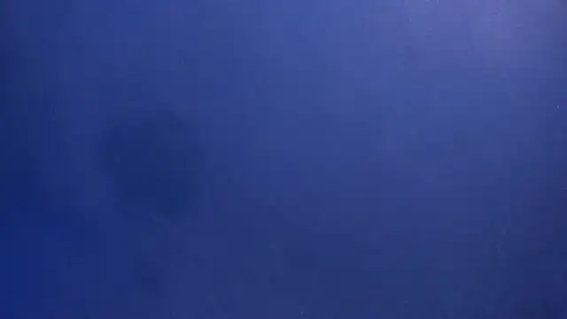 celestelewis online show from 19, 3, 2025