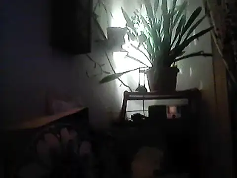 Bigpenis6y online show from 30, 12, 2024