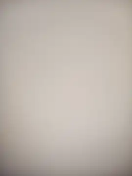 bustybillies online show from 7, 10, 2025