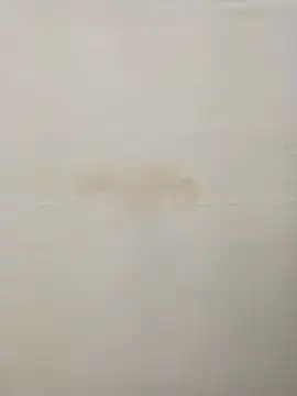 Snapshot of Rina777o chatting on 30, 12, 2024 Rina777o online show from 30, 12, 2024