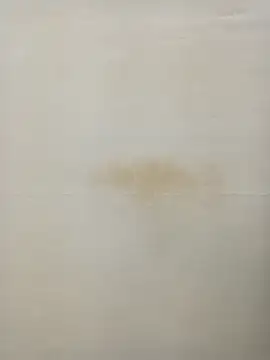 Snapshot of Rina777o chatting on 27, 1, 2025 Rina777o online show from 27, 1, 2025