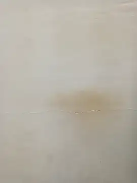 Snapshot of Rina777o chatting on 7, 3, 2025 Rina777o online show from 7, 3, 2025