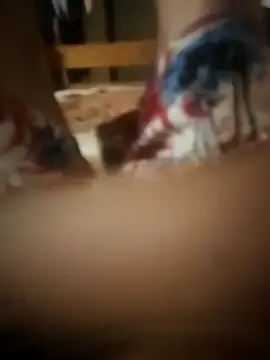 PussyMasterPhD1 online show from 11, 11, 2025