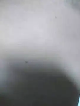 QcMisterv13 online show from 31, 7, 2026